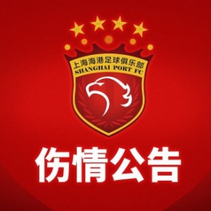 下载开云-重伤！海港官方：加布里埃尔右膝髌骨肌腱断裂，将尽快进行手术